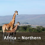 Africa Northeast